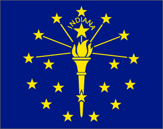 IN state flag