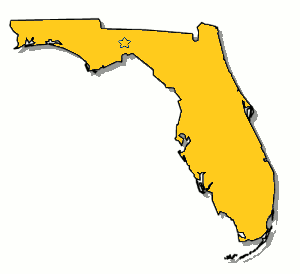 Florida Semi Truck Insurance