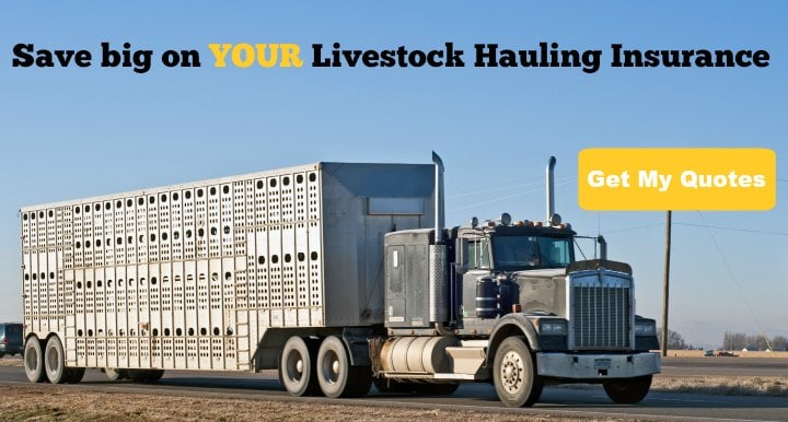 livestock transit insurance